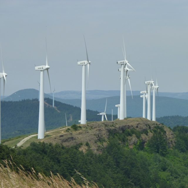 AfD Gesetzentwurf abgelehnt: Werden jetzt Windräder in den Wald gebaut?