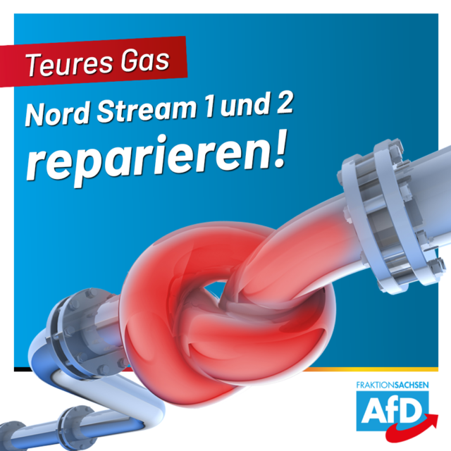 AfD-Antrag: Gaspreise senken, Nord Stream 1 und 2 reparieren