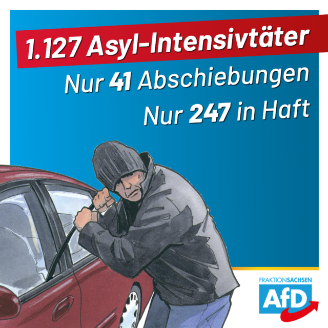 AfD-Anfrage: 1.127 Asyl-Intensivtäter in Sachsen