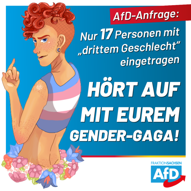 AfD-Anfrage: Nur 17 Personen mit „drittem Geschlecht“ eingetragen