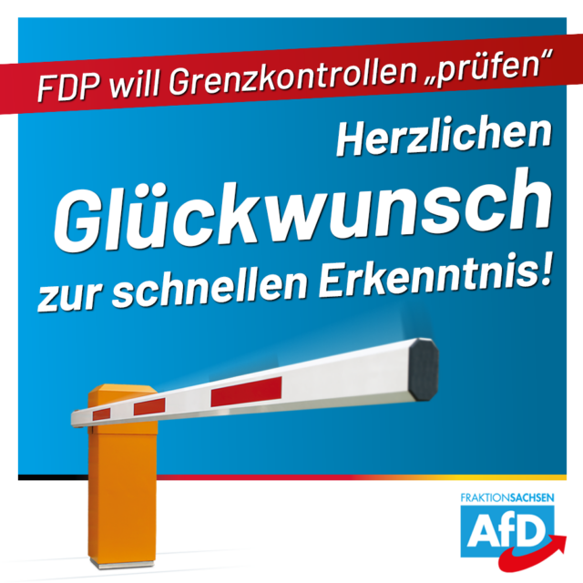 FDP möchte Grenzkontrollen „prüfen“: Herzlichen Glückwunsch zur schnellen Erkenntnis!