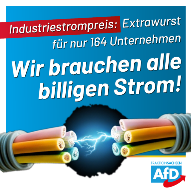 AfD-Anfrage: Vom Industriestrompreis profitieren nur 164 sächsische Unternehmen