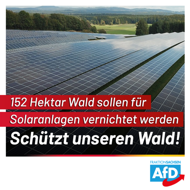 AfD-Anfrage: Bereits 15 Solarprojekte im Wald mit einer Größe von 152 Hektar geplant