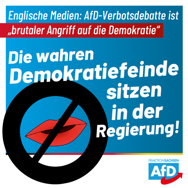Debatte um AfD-Verbot: Die wahren Demokratiefeinde sitzen in der Regierung!