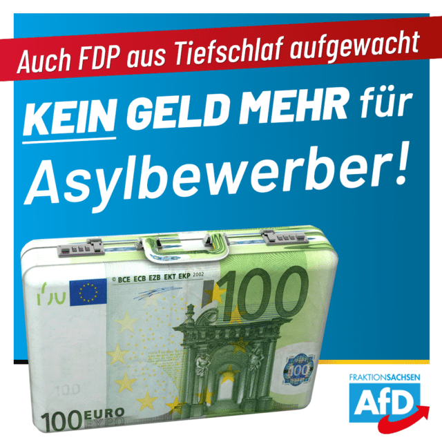 Auch FDP aus Tiefschlaf aufgewacht: Kein Geld mehr für Asylbewerber!