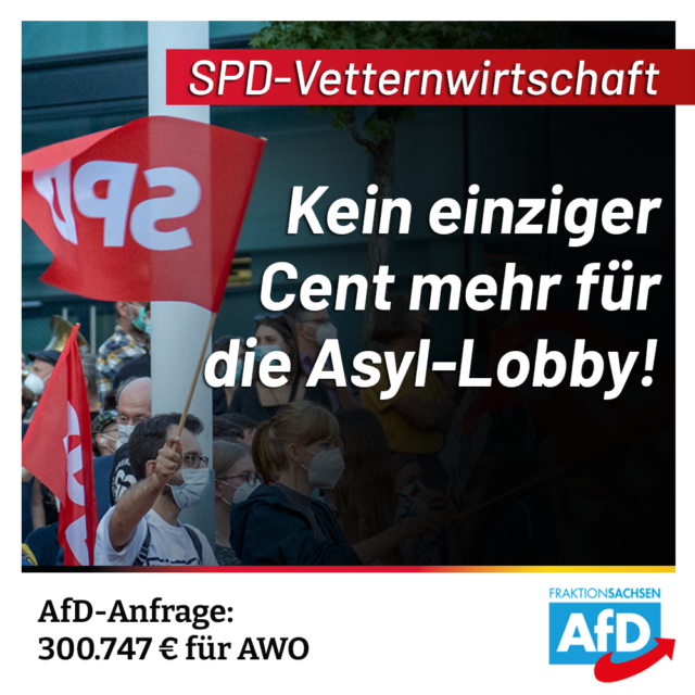 AfD-Anfrage: SPD-Sozialministerium zahlt Millionen an SPD-nahe Vereine