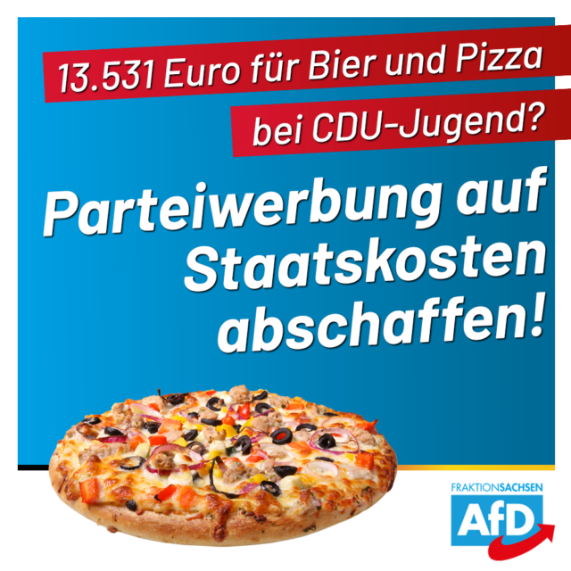 AfD-Anfrage: 13.531 Euro für „Pizza und Politik“ – einseitige Parteienwerbung abschaffen