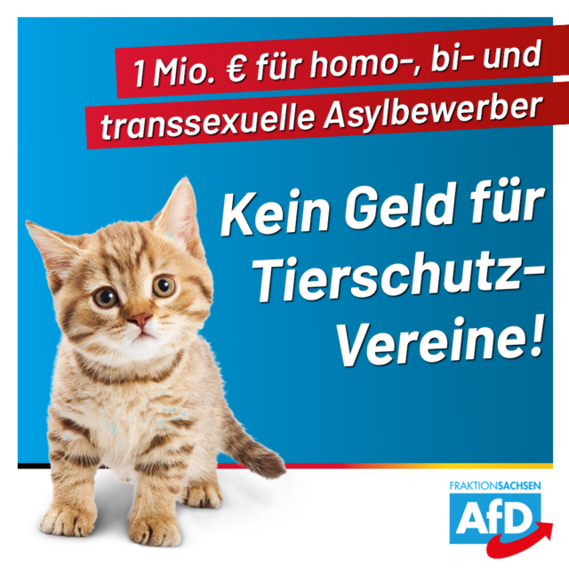 Kein Geld für Tierschutz-Vereine – Über 1 Mio. € für homo-, bi- und transsexuelle Asylbewerber