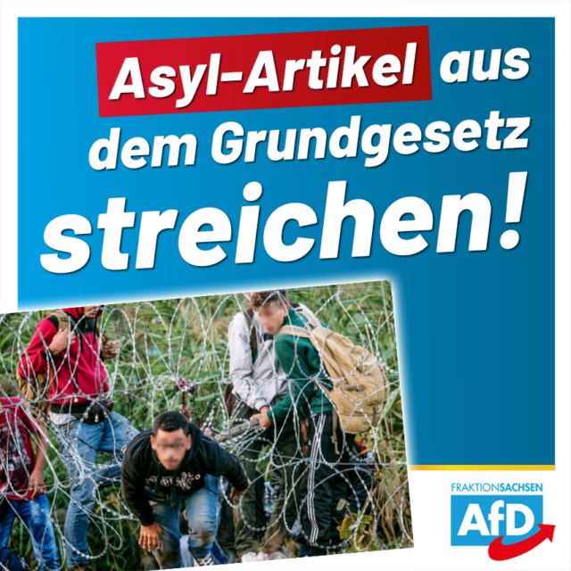 Asyl-Artikel aus dem Grundgesetz streichen!