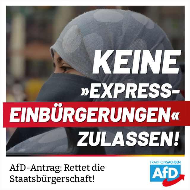 AfD-Antrag: Keine „Express-Einbürgerungen“ zulassen! Rettet die Staatsbürgerschaft!