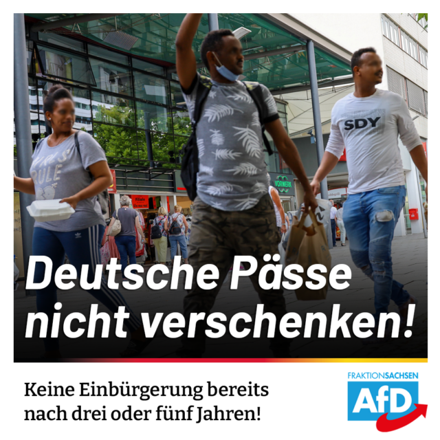 AfD-Antrag: Rettet die Staatsbürgerschaft – Deutsche Pässe nicht verramschen!