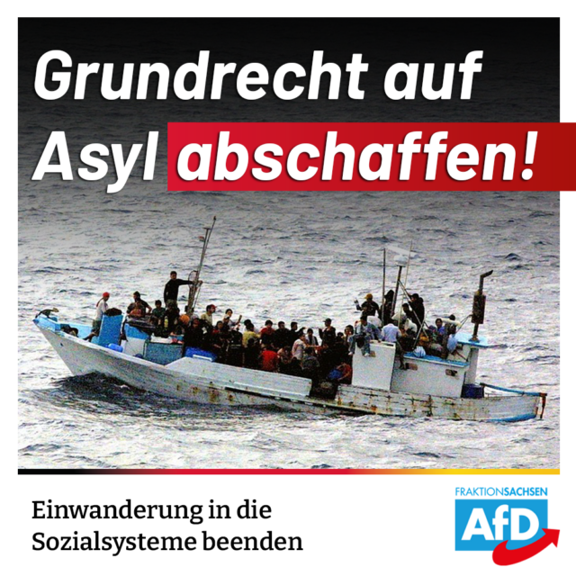 AfD-Antrag: Grundrecht auf Asyl abschaffen, Sozialmigranten stoppen