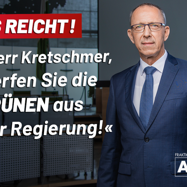 Es reicht! Herr Kretschmer, werfen Sie die Grünen aus der Regierung!