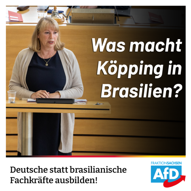 Was macht Köpping in Brasilien? Deutsche statt brasilianische Fachkräfte ausbilden!