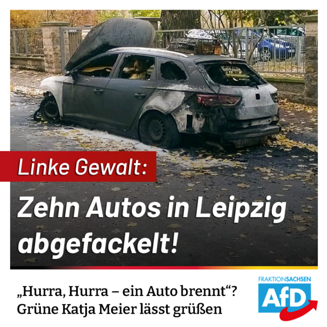 Linke Gewalt: Zehn Autos in Leipzig abgefackelt