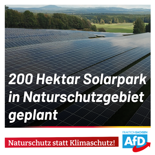 AfD-Anfrage: Riesige Solaranlagen sollen in Naturschutzgebieten entstehen
