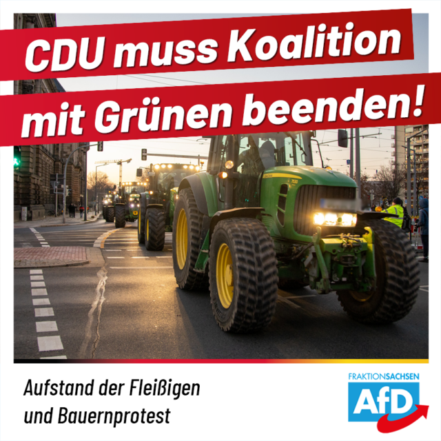 CDU muss Koalition mit Grünen beenden!