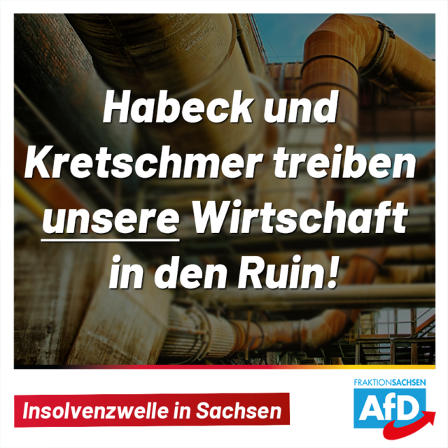 Insolvenzwelle: Habeck und Kretschmer treiben Wirtschaft in den Ruin!