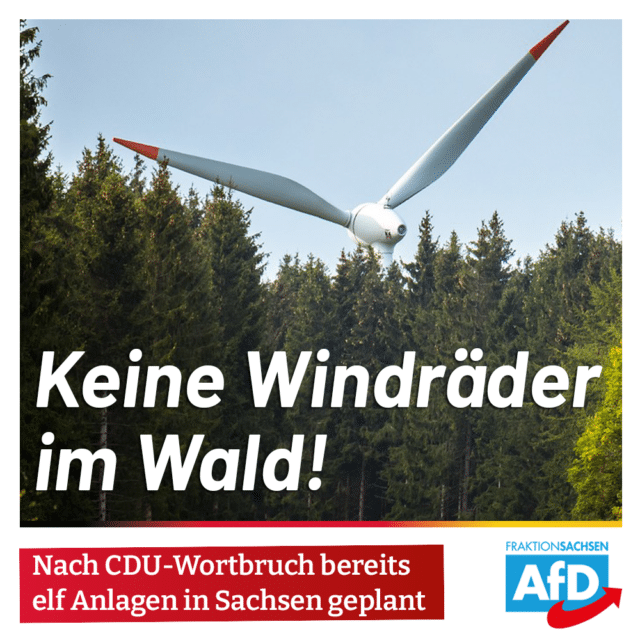 Nach CDU-Wortbruch: Keine Windräder im Wald!