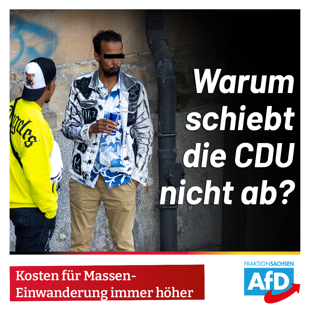 Kosten für Masseneinwanderung immer höher: Warum schiebt die CDU nicht ab?
