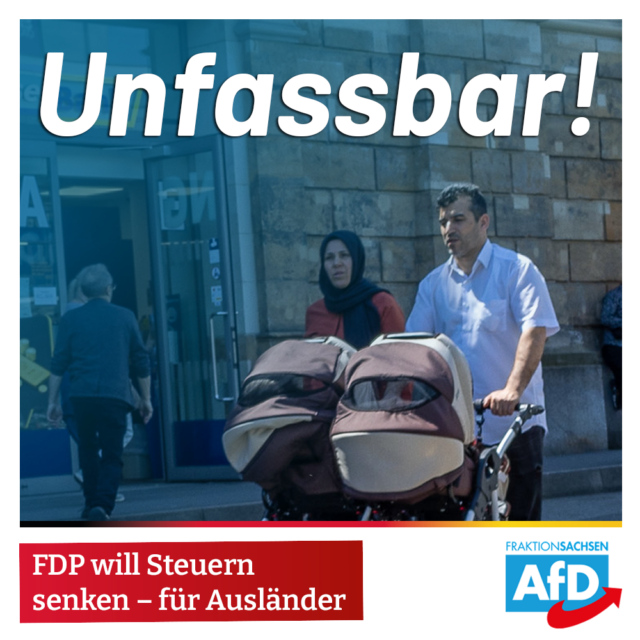 Unfassbar: FDP will Steuern senken – für Ausländer!