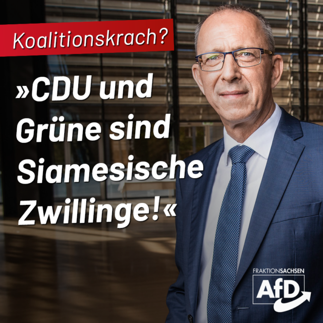 Koalitionskrach? CDU und Grüne sind Siamesische Zwillinge!