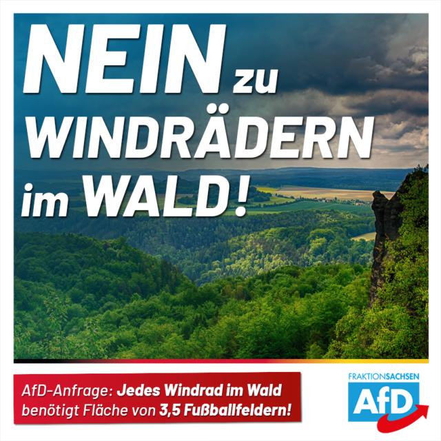 AfD-Anfrage: Jedes Windrad im Wald benötigt Fläche von rund 3,5 Fußballfeldern!
