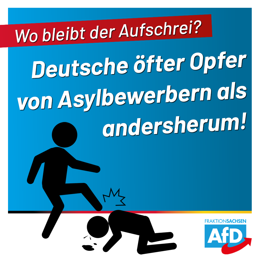 AfD-Debatte: Deutsche Opfer, ausländische Täter – Wo bleibt der Aufschrei?