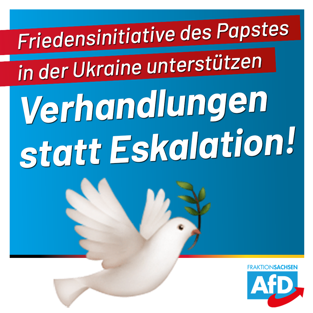 AfD-Antrag: Friedensinitiative zum Ukraine-Krieg gemeinsam mit dem Papst