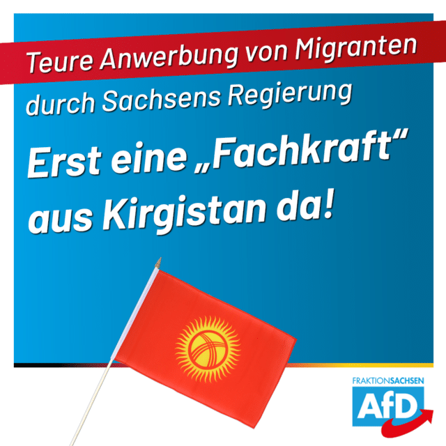 AfD-Anfrage zur “Fachkräfte-Initiative”: Erst eine “Fachkraft” aus Kirgisistan in Sachsen