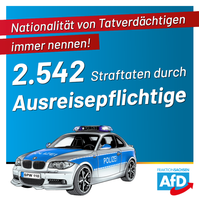 AfD-Anfrage: 2.542 Straftaten durch ausreisepflichtige Ausländer