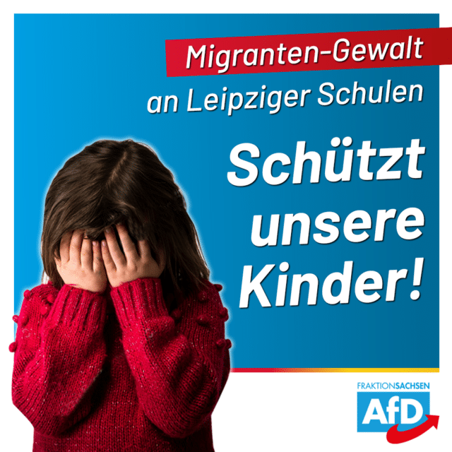 Migranten-Gewalt an Leipziger Schulen: CDU-Kultusminister Piwarz muss handeln!