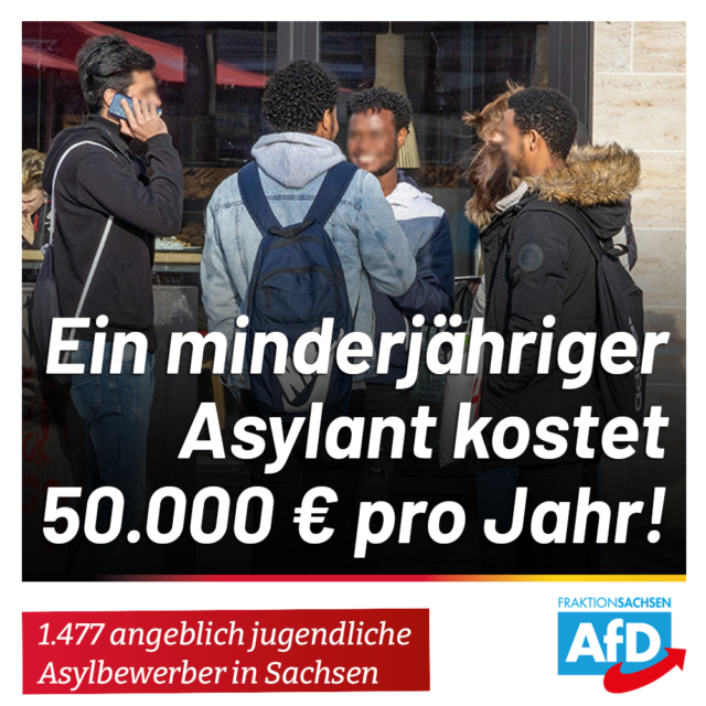 Steigende Asylkosten: 1.477 minderjährige Asylbewerber laut AfD-Anfrage