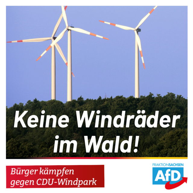 Bürger kämpfen gegen CDU-Windpark: Keine Windräder im Wald!