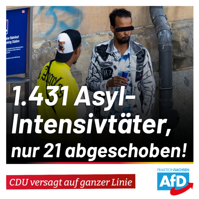 AfD-Anfrage: 1.431 Asyl-Intensivtäter, nur 21 abgeschoben