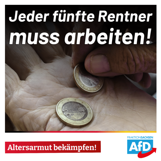 Jeder fünfte Rentner muss arbeiten: Altersarmut bekämpfen!