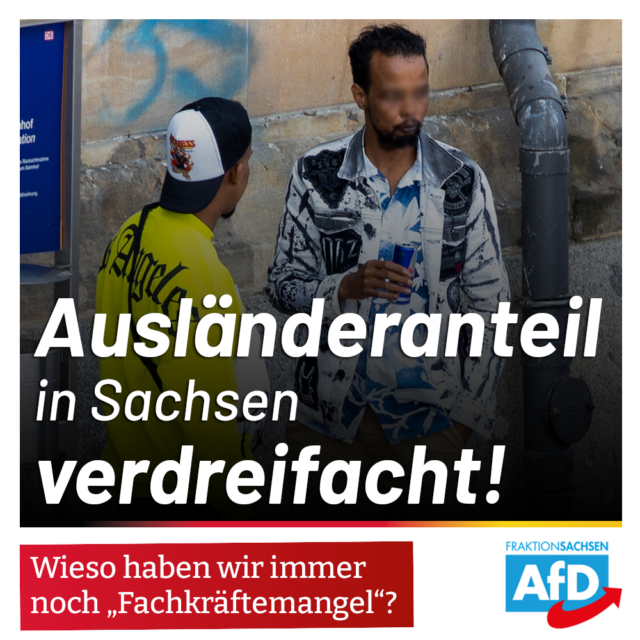 Ausländeranteil in Sachsen verdreifacht: Wieso haben wir immer noch „Fachkräftemangel“?