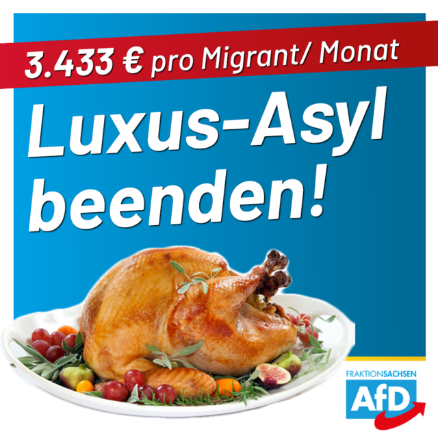 3.433 Euro pro Migrant/ Monat: Luxus-Asyl beenden!