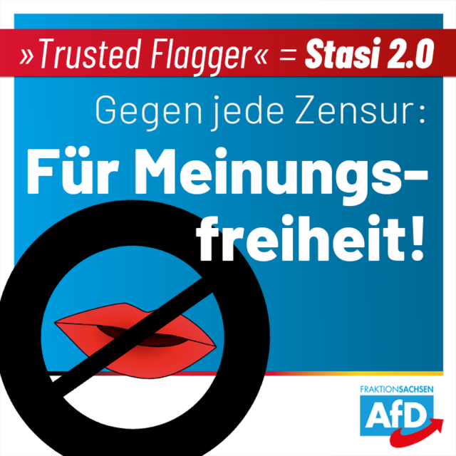 Trusted Flagger = Stasi 2.0