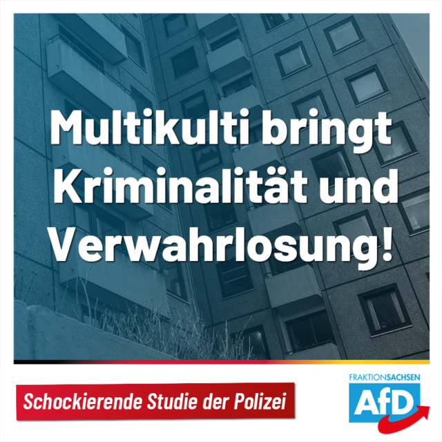 Polizei-Studie: Multikulti bringt Kriminalität und Verwahrlosung!