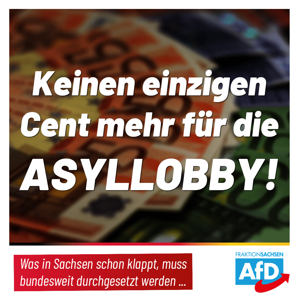 Keinen einzigen Cent mehr für die Asyllobby!