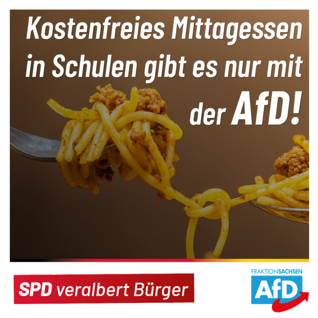 Kostenfreies Schulessen gibt es nur mit der AfD!