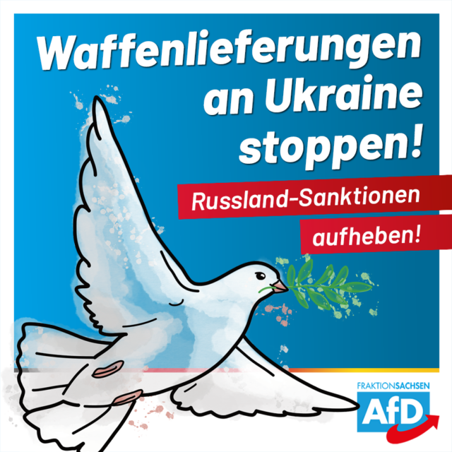 Waffenlieferungen an Ukraine stoppen! Russland-Sanktionen aufheben!