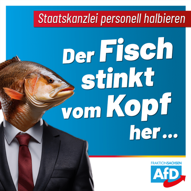 Staatskanzlei personell halbieren:  Der Fisch stinkt vom Kopf her …