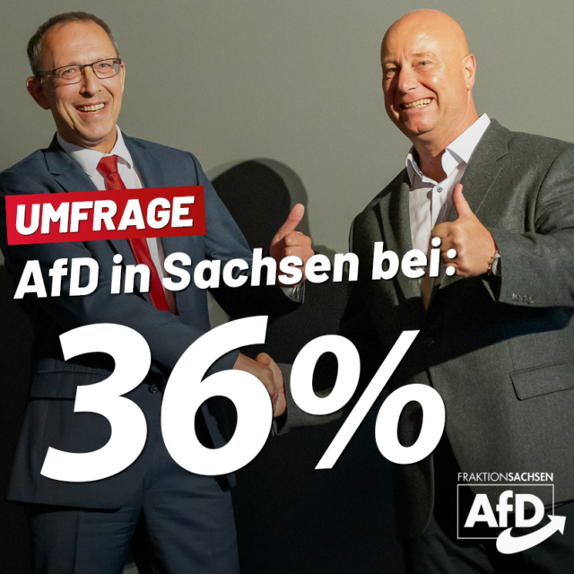 Umfrage: AfD in Sachsen bei 36 %!