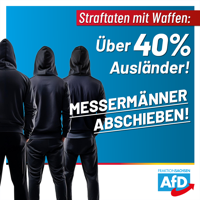 AfD-Anfrage zu Straftaten mit Waffen: Über 40 Prozent Ausländer!