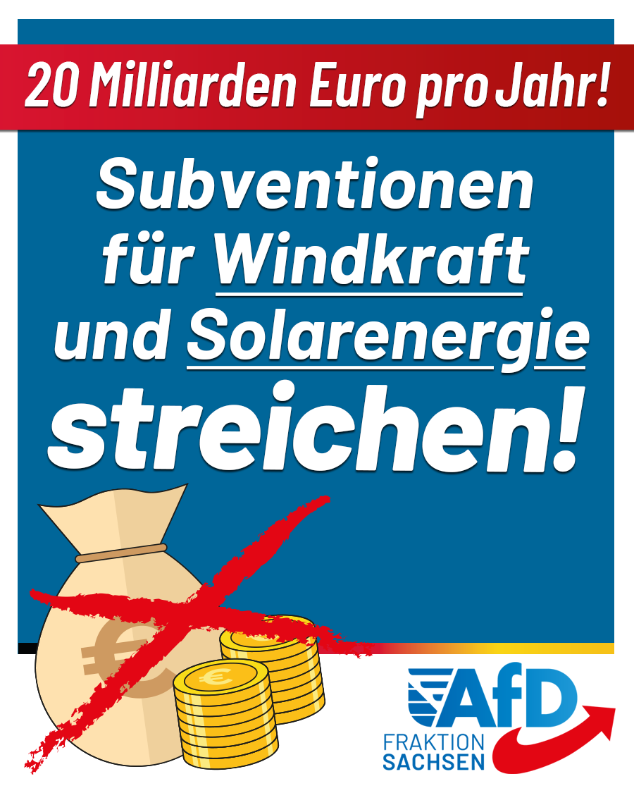 20 Milliarden Euro pro Jahr: Subventionen für Sonnen- und Windenergie streichen!