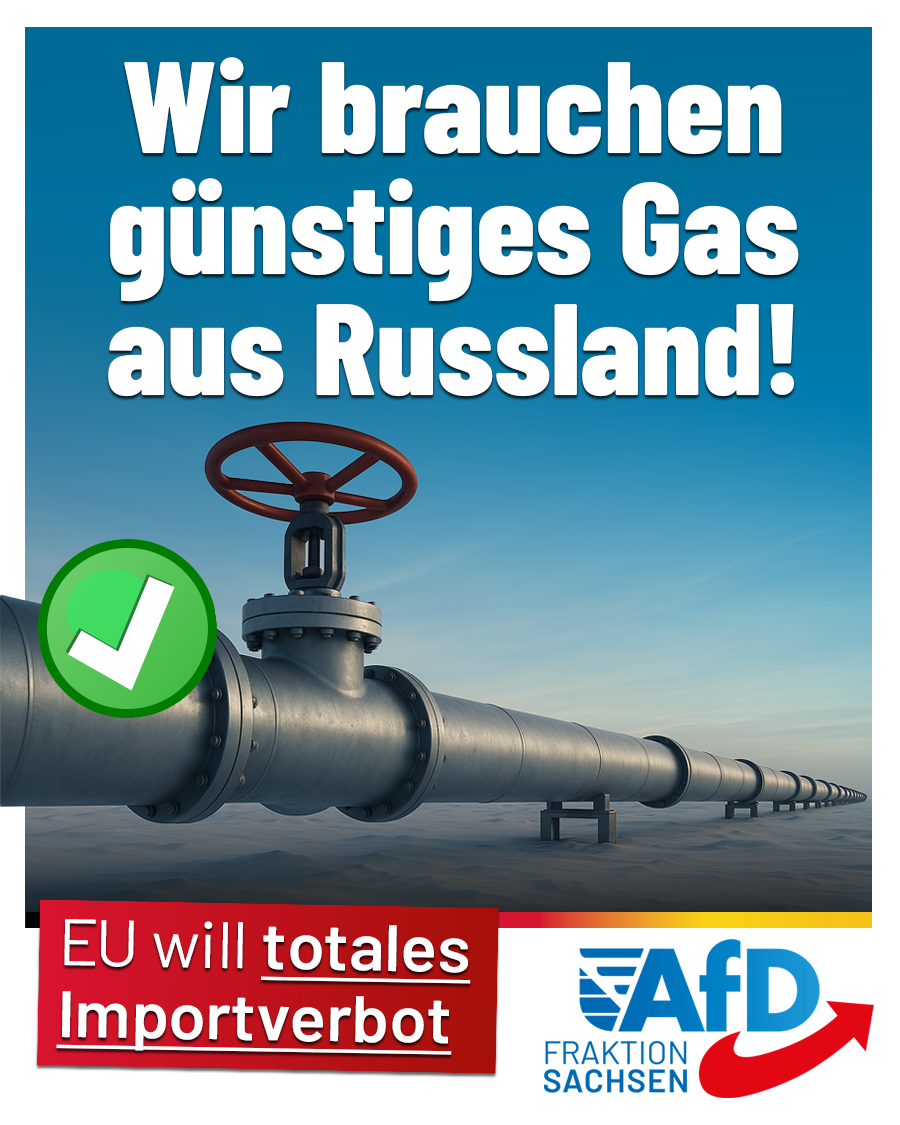 EU will totales Importverbot: Wir brauchen günstiges Gas aus Russland!
