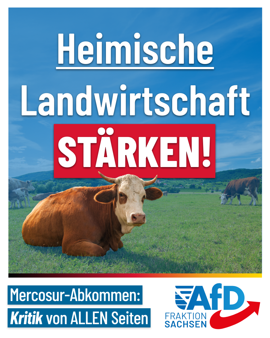 Heimische Landwirtschaft stärken! Kritik am Mercosur-Abkommen von allen Seiten