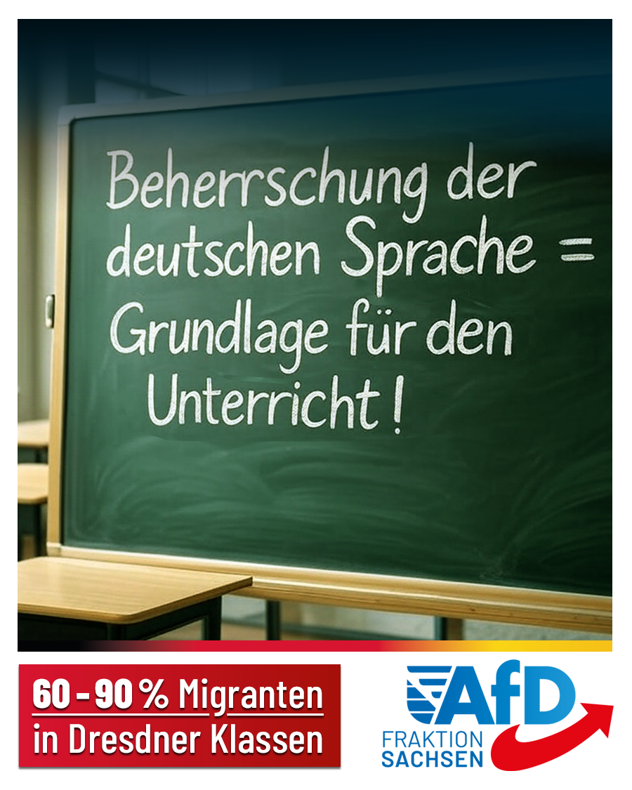 AfD-Anfrage: Migrantenanteil in vielen Dresdner Klassen zwischen 60 und 90 Prozent!